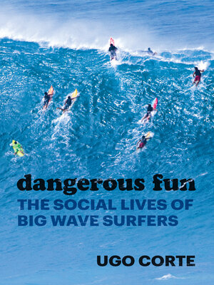 cover image of Dangerous Fun